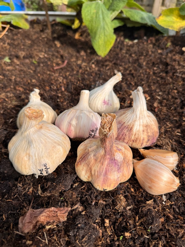 October – What a&nbsp;Treat